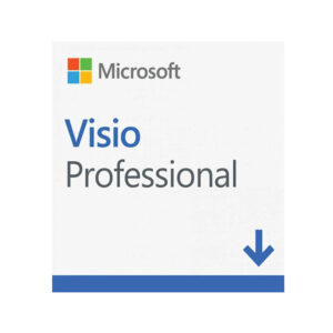 Phần mềm Microsoft Visio Pro 2021 Online (D87-07606)