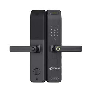 Khóa cửa thông minh Osuno OSN-3366