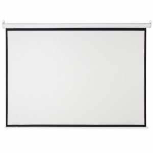 Màn chiếu điện Dalite P250ES( 4m60 x4m60 ) - 250 inch