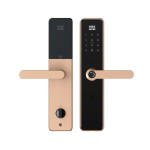 Khóa từ 4 chức năng kết hợp bluetooth KINLONG H603