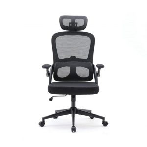 Ghế công thái học SIHOO M102C - M101 Black