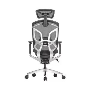 Ghế Công Thái Học GTChair Dvary Butterfly - Đen (khung đen. lưới đen)