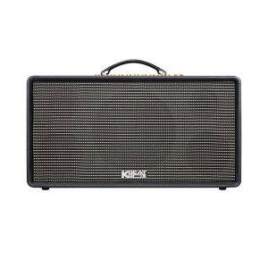 Loa Karaoke xách tay Acnos Flac 36 (Bass 20cm, 200W, Bluetooth 5.0, kèm 2  Mic)