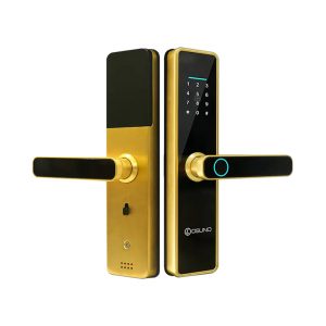 Khóa cửa thông minh Osuno OSN-3367A