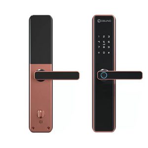 Khóa cửa thông minh Osuno OSN-3302