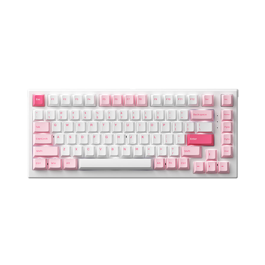74560_ban_phim_co_akko_monsgeek_mg75_prunus_lannesiana_akko_switch_v3_cream_yellow_1 Bàn phím cơ AKKO MonsGeek MG75 Prunus Lannesiana (AKKO switch v3 - Cream Yellow)