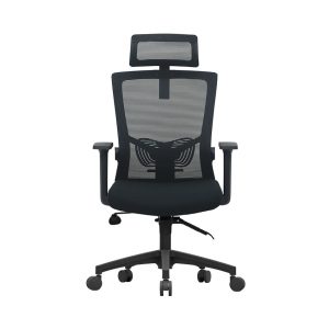 Ghế công thái học E-DRA EEC216 MÀU ĐEN (chân nhựa)