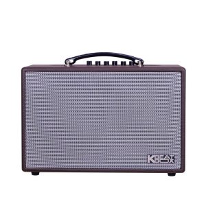 Loa Karaoke Xách Tay Mini Acnos CS160 (Bass 16.5cm, 50W, Pin 7h, Kèm 2 Micro)