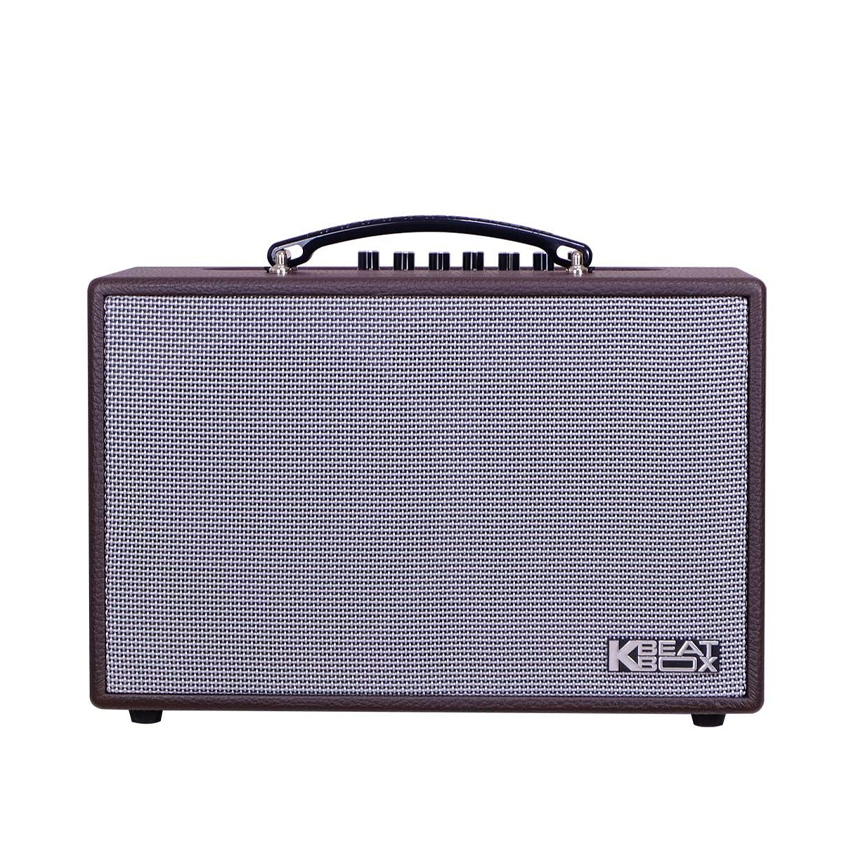 Loa Karaoke Xách Tay Mini Acnos CS160 (Bass 16.5cm, 50W, Pin 7h, Kèm 2 Micro)