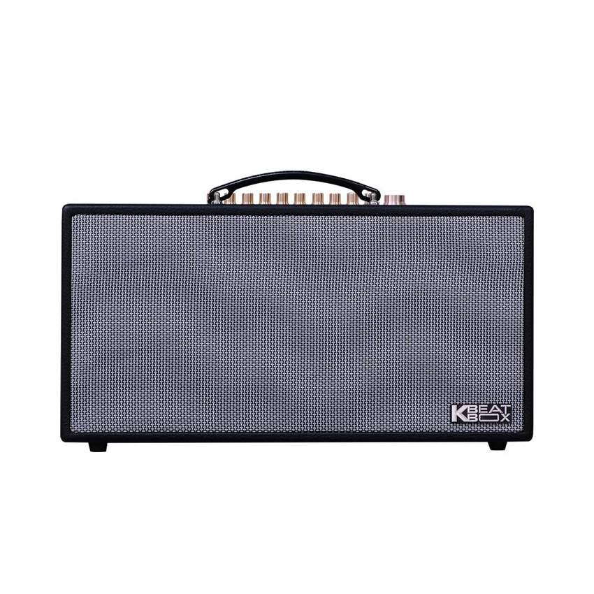 Loa Karaoke Xách Tay Mini Acnos HN450 150w (2 Bass 16.5cm, 150W, Pin 4-6h, Kèm 2 Micro)