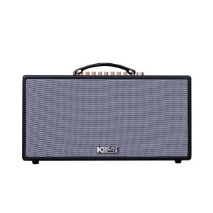 Loa Karaoke Xách Tay Mini Acnos HN447 100w (Bass 16.5cm, 100W, Kèm 2 Micro, Optical)