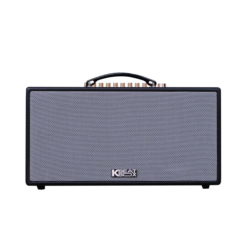 Loa Karaoke Xách Tay Mini Acnos HN447 100w (Bass 16.5cm, 100W, Kèm 2 Micro, Optical)
