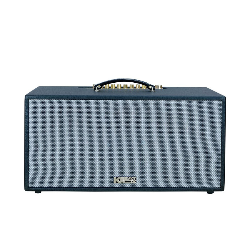 Loa Karaoke Xách Tay Mini Acnos CS451PLUS (Bass 20cm, RMS 250W, Kèm 2 Micro)