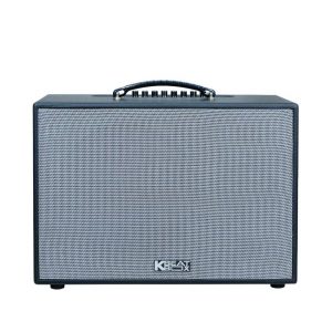 Loa Karaoke Xách Tay Mini Acnos CS251PU 70w (Bass 25cm, 70W, Kèm 2 Micro)