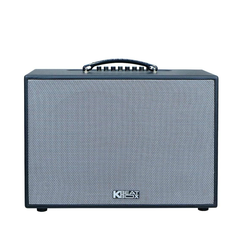Loa Karaoke Xách Tay Mini Acnos CS251PU 70w (Bass 25cm, 70W, Kèm 2 Micro)