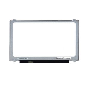 Màn hình laptop 17.3 inch FHD 30 chân