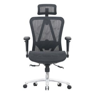 Ghế Công Thái Học E-Dra EEC215 Black