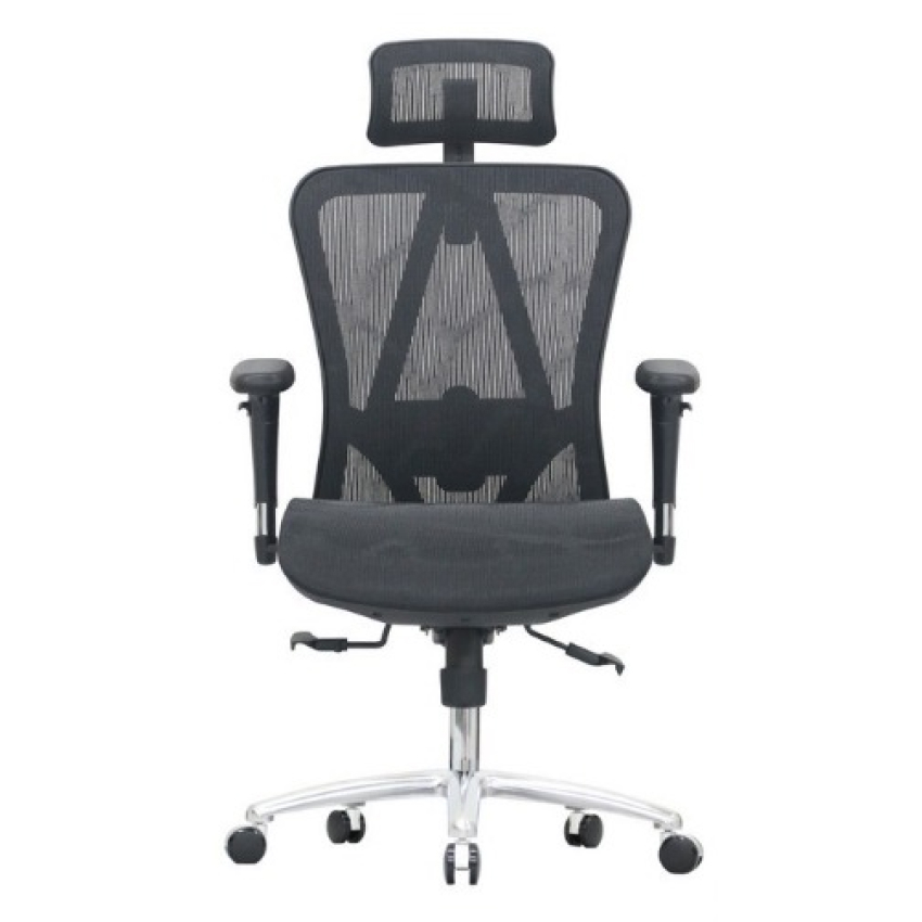 Ghế Công Thái Học E-Dra EEC215 Black