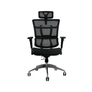 Ghế công thái học ERGOHOME NOVA (Khung đen, lưới đen)