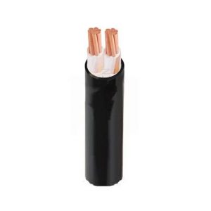 Dây cáp điện Sang Joo CU/XLPE/PVC (2 X 6SQMM)