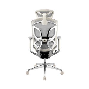 Ghế Công Thái Học GTChair Dvary Butterfly Pro - Trắng (Khung trắng, lưới trắng)