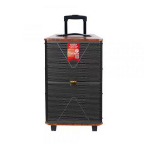 Loa kéo cao cấp KODA ES1221 V2 Bass 30 (Kèm 2 micro không dây)