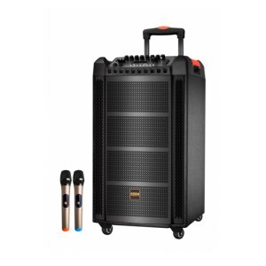 Loa kéo cao cấp KODA KD1255 V2 Bass 30 (Kèm 2 micro không dây)