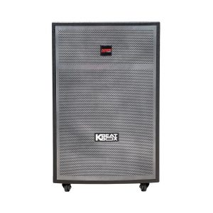 Loa kéo Acnos CB404GD (Bass 40cm, 100W, Kèm 2 Tay Mic)