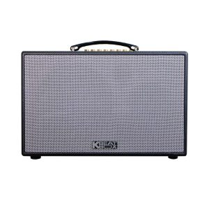 Loa Karaoke xách tay Acnos CS201PU (Bass 20cm, 70W, Bluetooth 5.0,  Kèm 2 Mic)