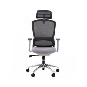 Ghế công thái học GAMI Focus V1 Grey (Lưng lưới, đệm)