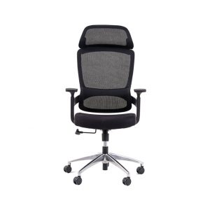 Ghế công thái học GAMI Core Black (Lưng lưới, đệm)