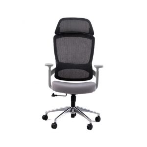 Ghế công thái học GAMI Core Grey (Lưng lưới, đệm)