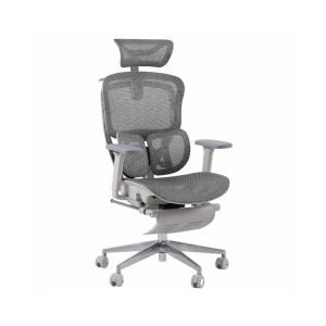 Ghế công thái học GAMI Crom Metal (Phiên bản lưng Carbon)