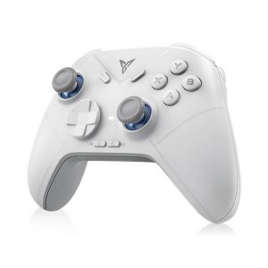 Tay cầm chơi game FLYDIGI Direwolf 3 Màu Xám (for PC/NS/iOS(Native mode)/Android)