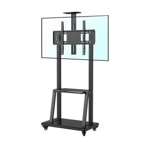 Giá treo TIVI di động Ergotek E1950 (32-75 inch) (Đặt được PC, máy chơi game)