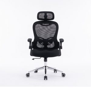 Ghế công thái học EDRA EEC224