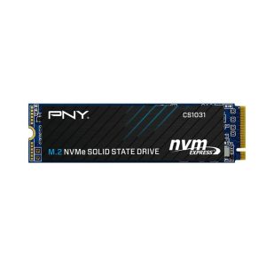 Ổ Cứng SSD PNY CS1031 256GB – M.2 2280 PCIe Gen3 x4 (Đọc 1700MB/s - Ghi 1100MB/s) - (M280CS1031-256-CL)