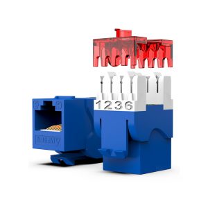 Nhân Wallplate AMPCOM chuẩn CAT6 Standard 180°(Blue) AC6208BU