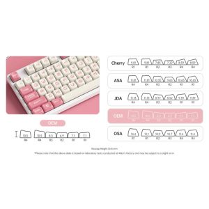 Bộ Keycap AKKO Dim Sum Bear