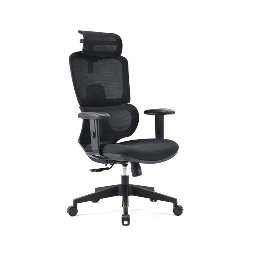 Ghế Công Thái Học SIHOO M105C-101 Black