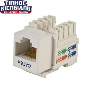 Ruột RJ45