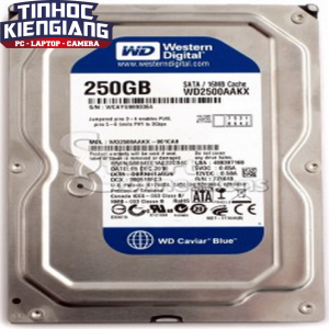 Ổ Cứng HDD Western 250G 3.5" Sata   BLUE CTY 2N