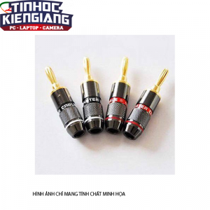 Jack AV (đầu jack)