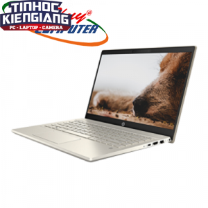 Máy Tính Xách Tay/Laptop HP Pavilion 14-ce2049TU/I5-8265U/8G/SSD256GB/14