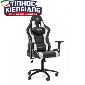 Ghế Ace Gaming Assassin Series KW-G02S Black/White