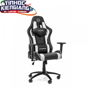 Ghế Ace Gaming Assassin Series KW-G02S Black/White