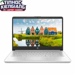 Máy Tính Xách Tay/Laptop HP 14s-dq1100TU (193U0PA) (i3 1005G1/4GB RAM/256GB SSD/14 HD/Win10/Bạc)