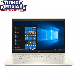 Máy Tính Xách Tay/Laptop HP Pavilion 14-ce3019TU (8QP00PA) ( i5-1035G1/4GB RAM/1TB HDD/14 inch FHD/Win 10/Vàng)