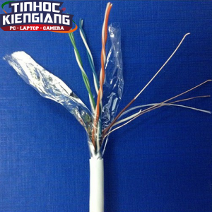 Cable AMP (3332 vỏ bọc dày Chống nhiễu) 305m