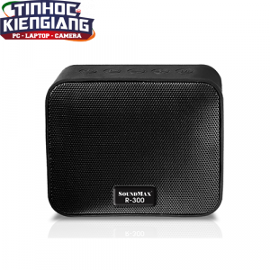Loa Di Động Bluetooth SoundMax R300